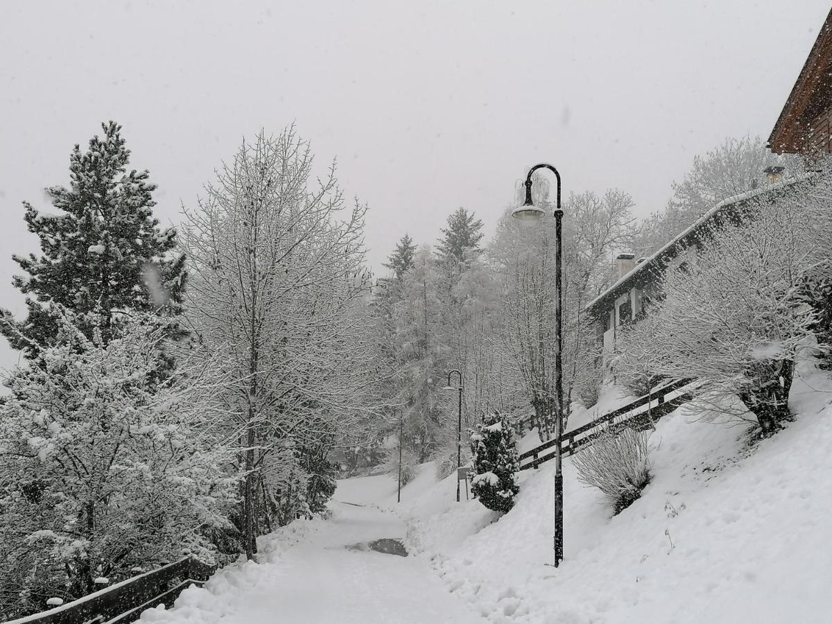 Appartamento Bellavista Cavalese Buitenkant foto